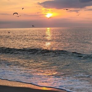 Meet your Posher, Bev